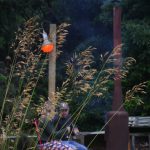 lovers-in-redlight-district